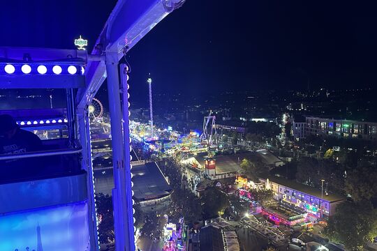IMG_8128.jpeg