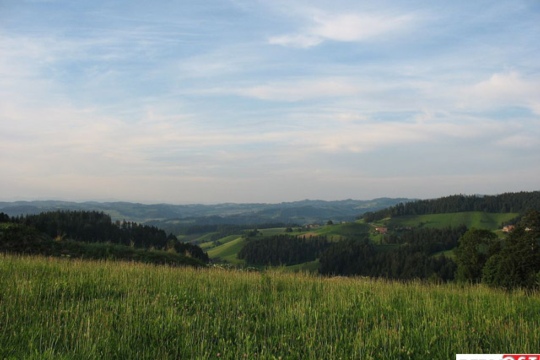 61fd5fec999f4a5ebf09b3b7ab8a0562.jpg