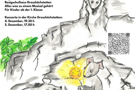 Mats und d'Wundersteine Plakat.jpg