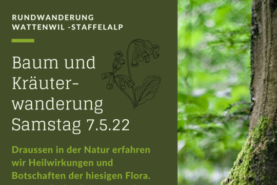 Von Bäumen und Pflanzen.png