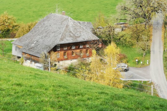 Bauernhaus 1.jpg