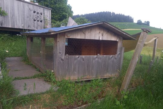 20260526_195610.jpg