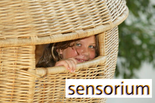 Sensorium-BernOst.jpg