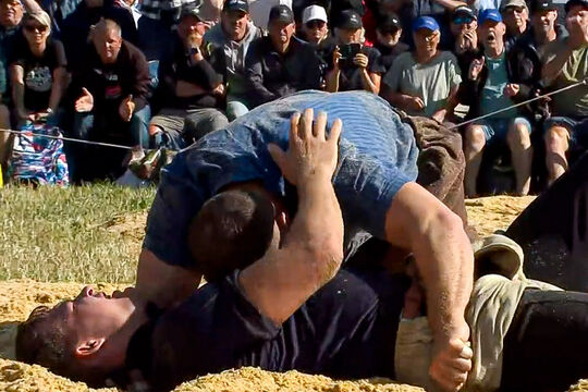 schwingen weissenstein