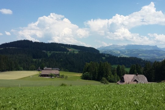 20190619_140245.jpg