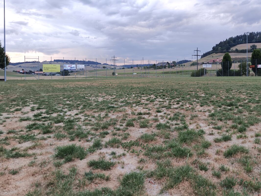 image 996628