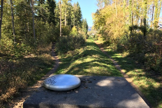 Aaretalleitung