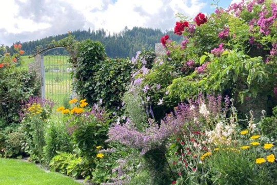 Blühende Rabatte01.jpg