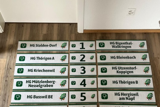 hornusserpaarungen