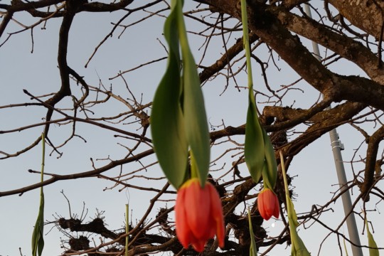 20190224_072200
