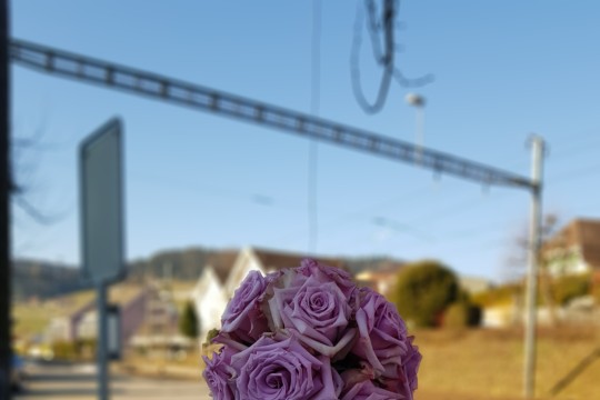 20190224_091944
