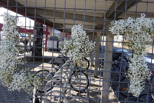 IMG-20190223-WA0008