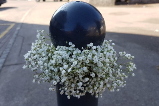 IMG-20190223-WA0023