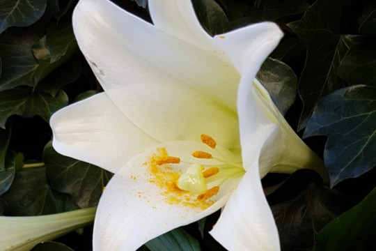 IMG-20190223-WA0026