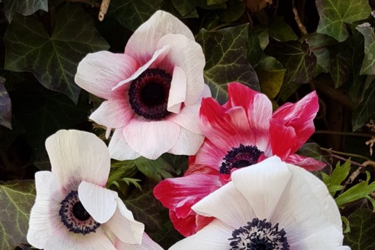 IMG-20190223-WA0027