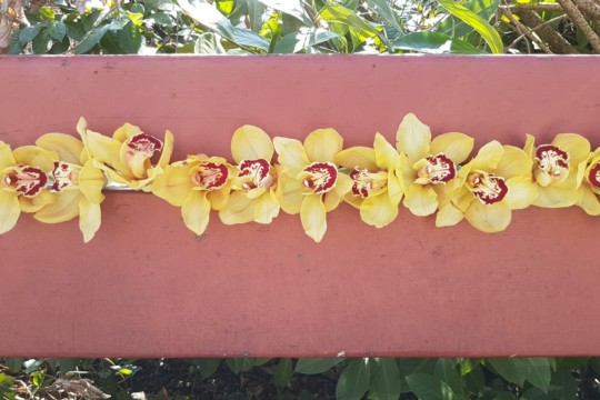 IMG-20190223-WA0031