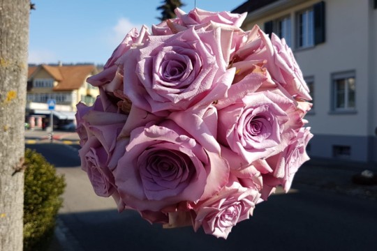 IMG-20190223-WA0049