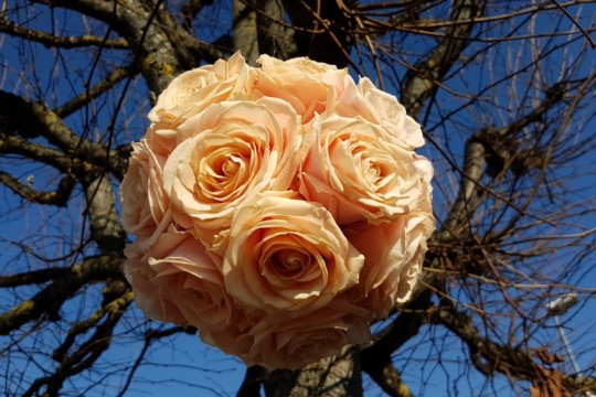 IMG-20190223-WA0051
