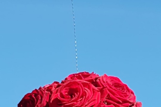 IMG-20190223-WA0054