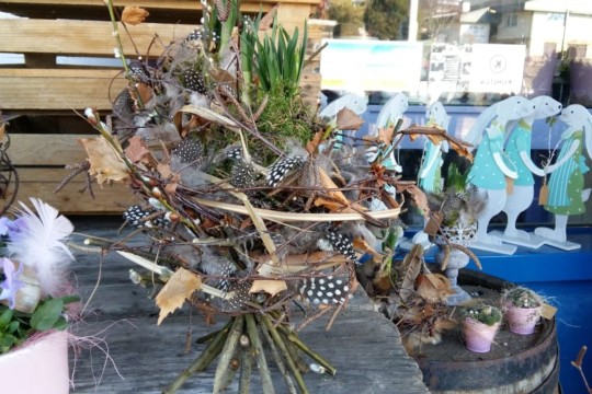 IMG-20190223-WA0067