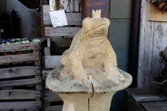 IMG-20190223-WA0069