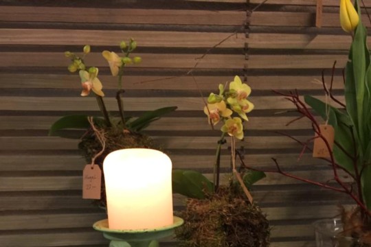 IMG-20190223-WA0098