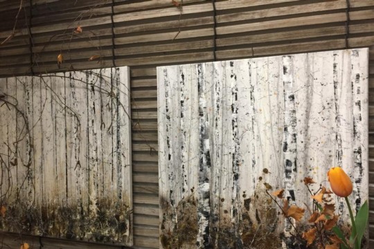 IMG-20190223-WA0105