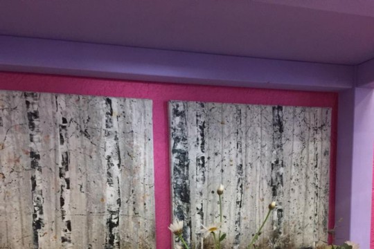 IMG-20190223-WA0111