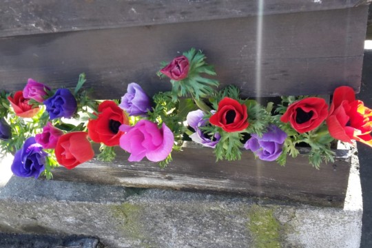 IMG-20190223-WA0118