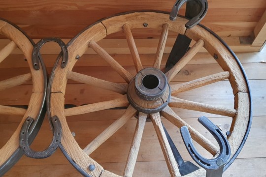 20231002_131159.jpg