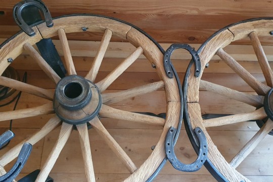 20231002_131203.jpg