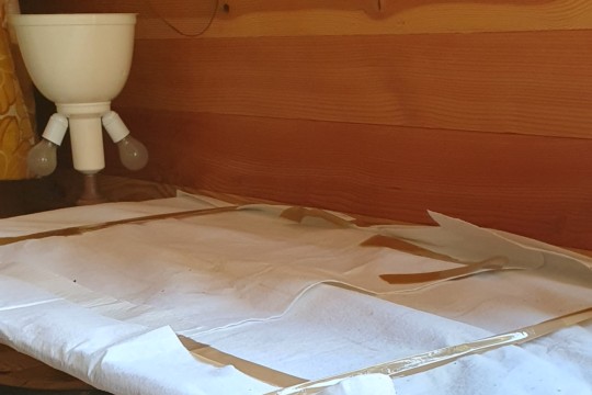 20231002_131257.jpg
