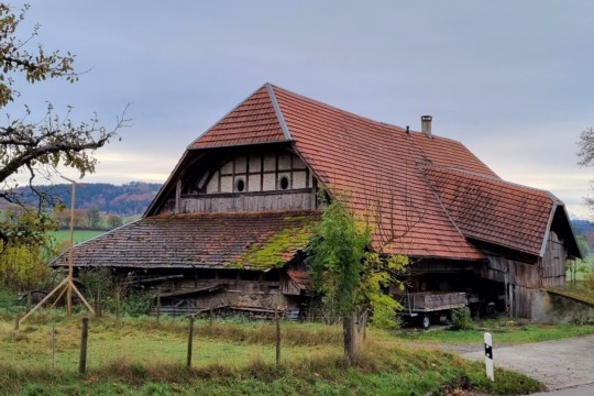 Haus hinten