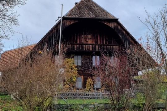 haus neu