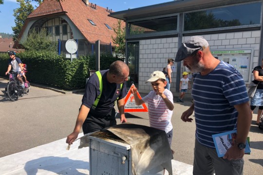Bolligen 18