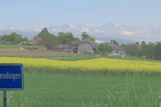 allmendingen