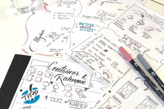 Simply-NeW-Art-Nelly-Wüthrich-Sketchnotes-Pavo6.jpg