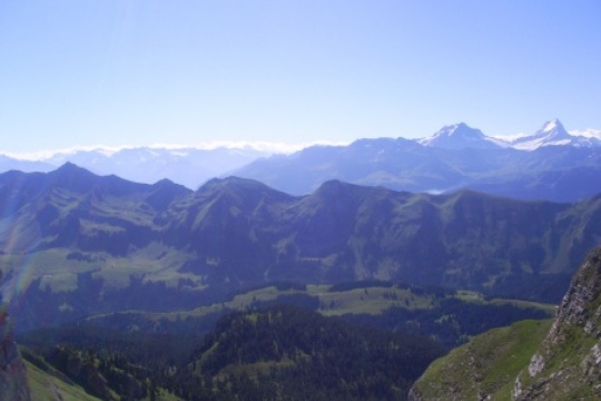69c9a41a41ab454be37eddbcf8114c40.jpg