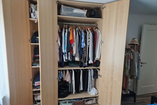 20250912_111243.jpg