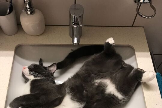 WhatsApp Image 2025-05-05 at 19.26.06