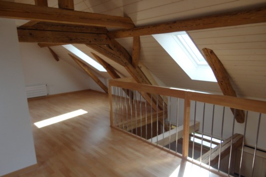 130130_Gfeller_Radelfingen_Wohnungeinbau (193).jpg