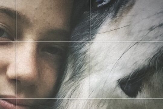 IMG_2692.jpeg