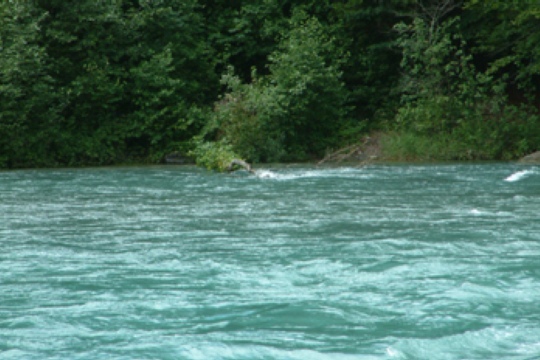 6b57c8e121a3b5dca1caa8798065d7e7.jpg