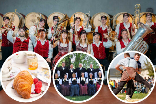 Vorlage Startseite copy (8)-High-Quality