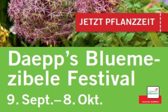 Front Flyer_Bluemezibele-Festival