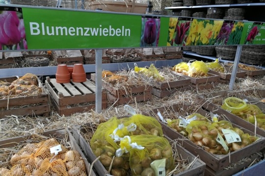 IMG_20190911_103001