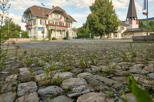 Bild Sicherheitsholzerei entlang der Kantonsstrasse