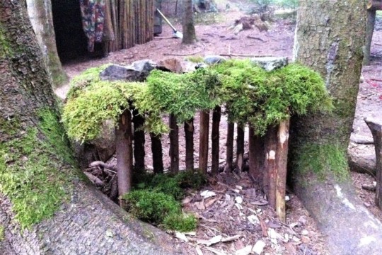 wald_2.jpg