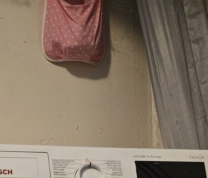 20250504_173647.jpg