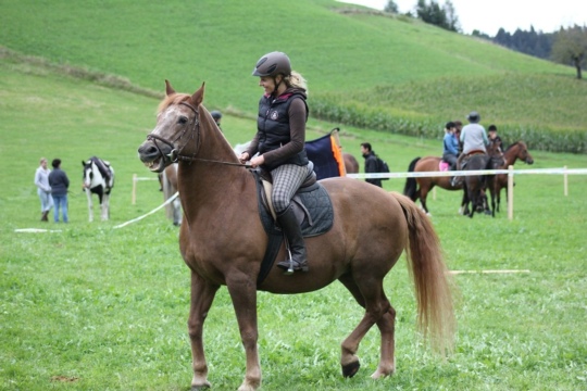 6e669df17bfc874b3f211ebecbe9bc39.jpg